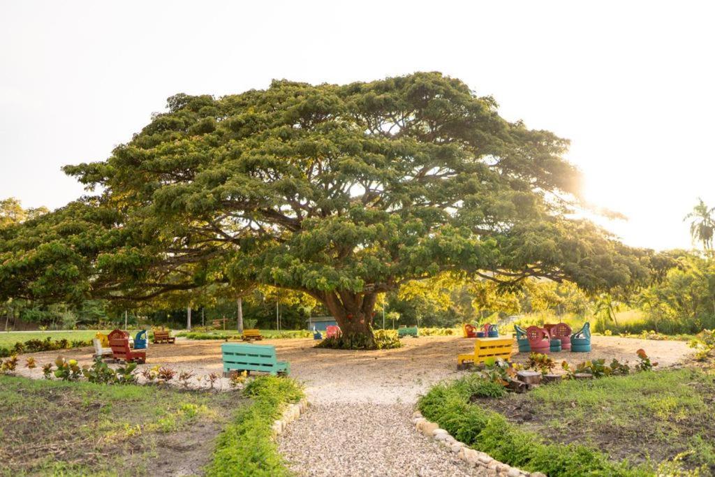 Hacienda La Huerta, Puerto Plata Villa Exterior foto